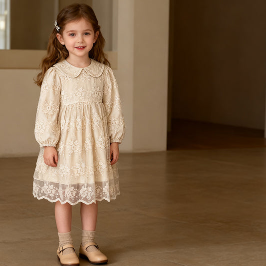 Lace Embroidered Dress