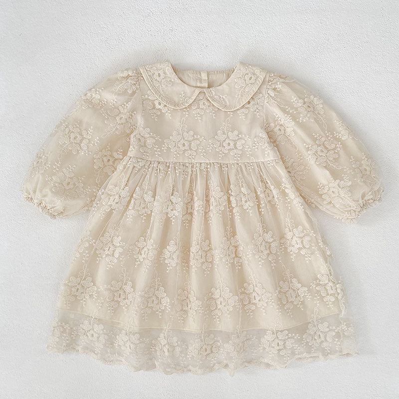 Lace Embroidered Dress